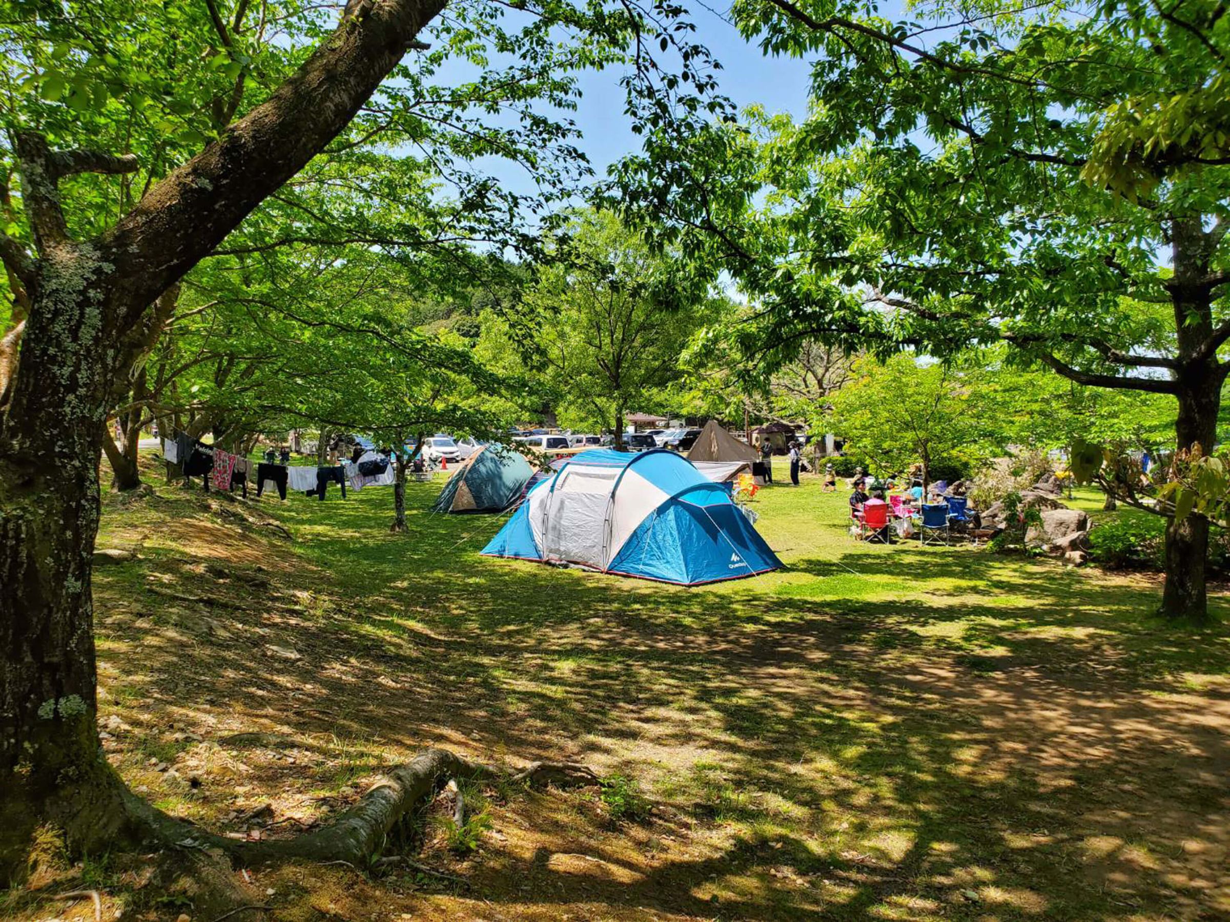 西海市内には市が所有するキャンプ場が3箇所