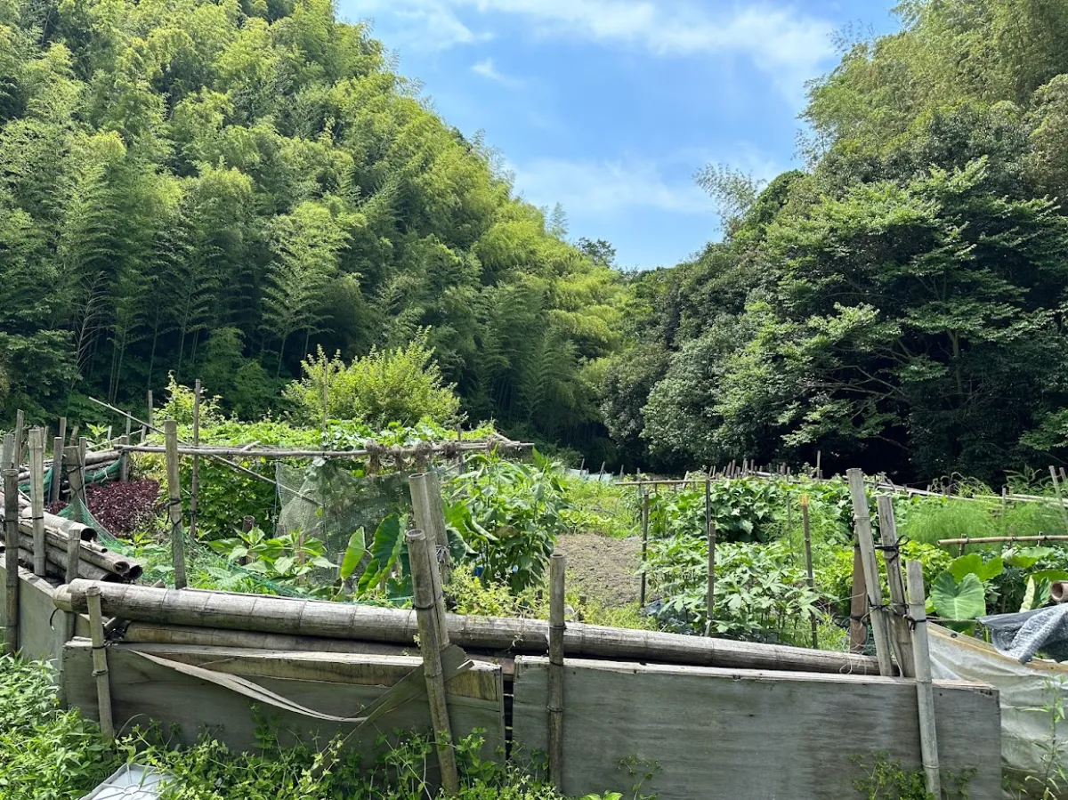 山地司、【鹿の住む森-3】、希少な額装用画集より、新品額装付、状態良好 山地司、【鹿の住む森-3】、希少な額装用画集より、新品額装付、