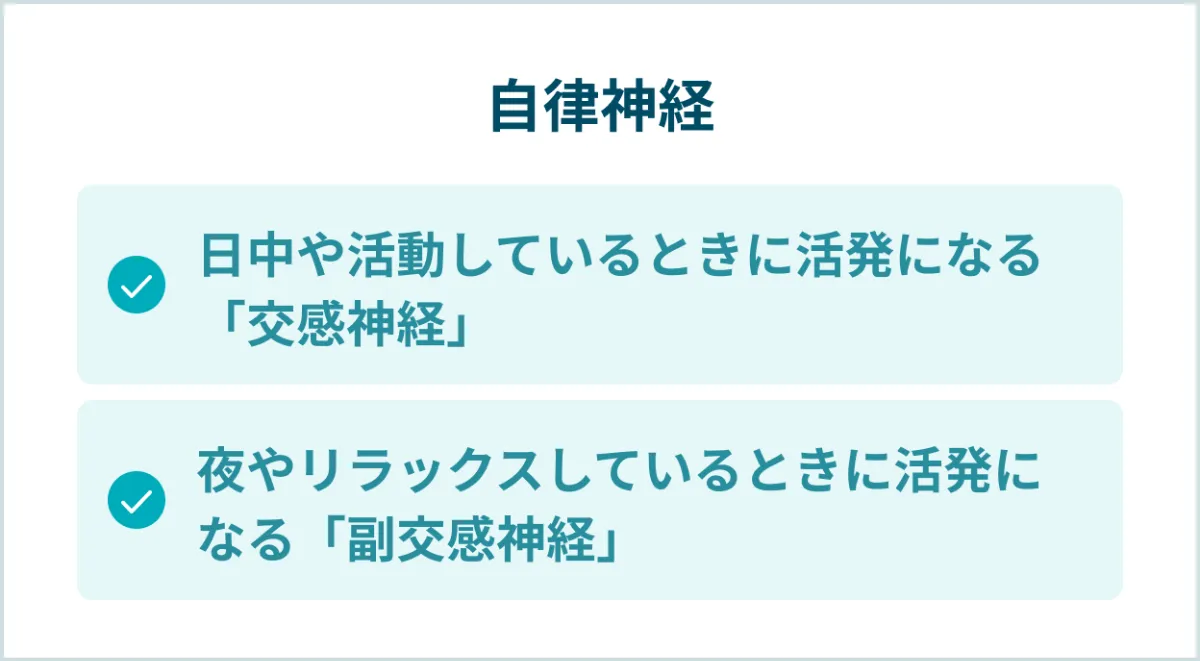 副交感神経を高める方法15選！自律神経の整え方を心理の専門家が解説