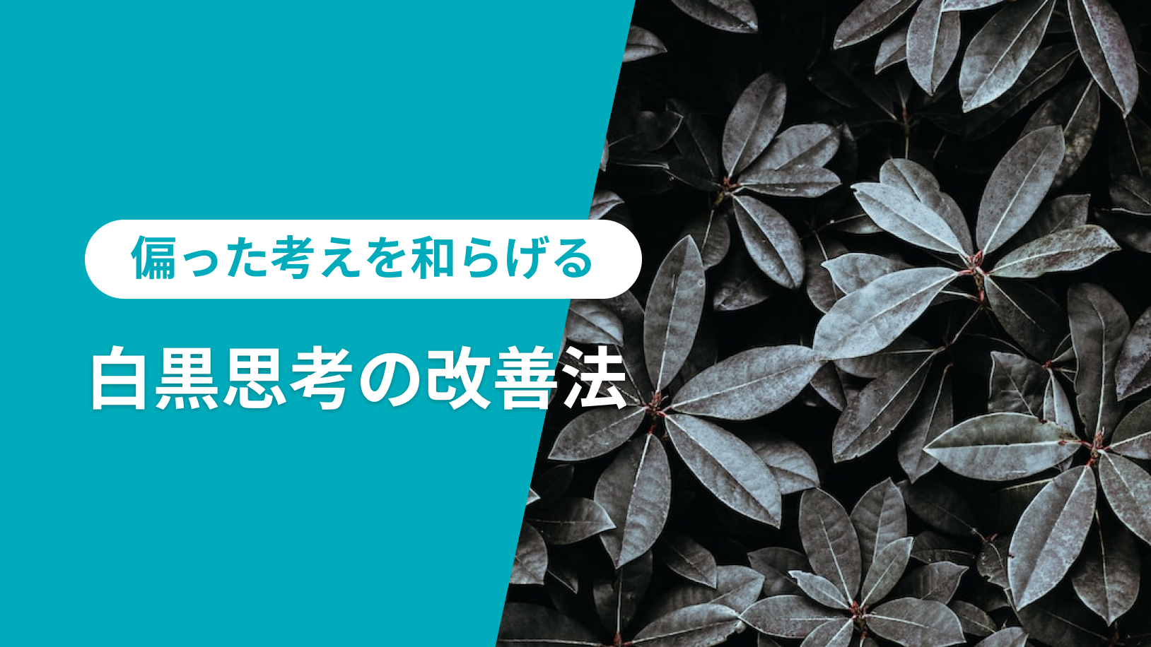 白黒思考とは？原因と治し方を徹底解説。認知行動療法に基づくアプリもご紹介 丨コグラボ Cognitive Behavioral Therapy Lab