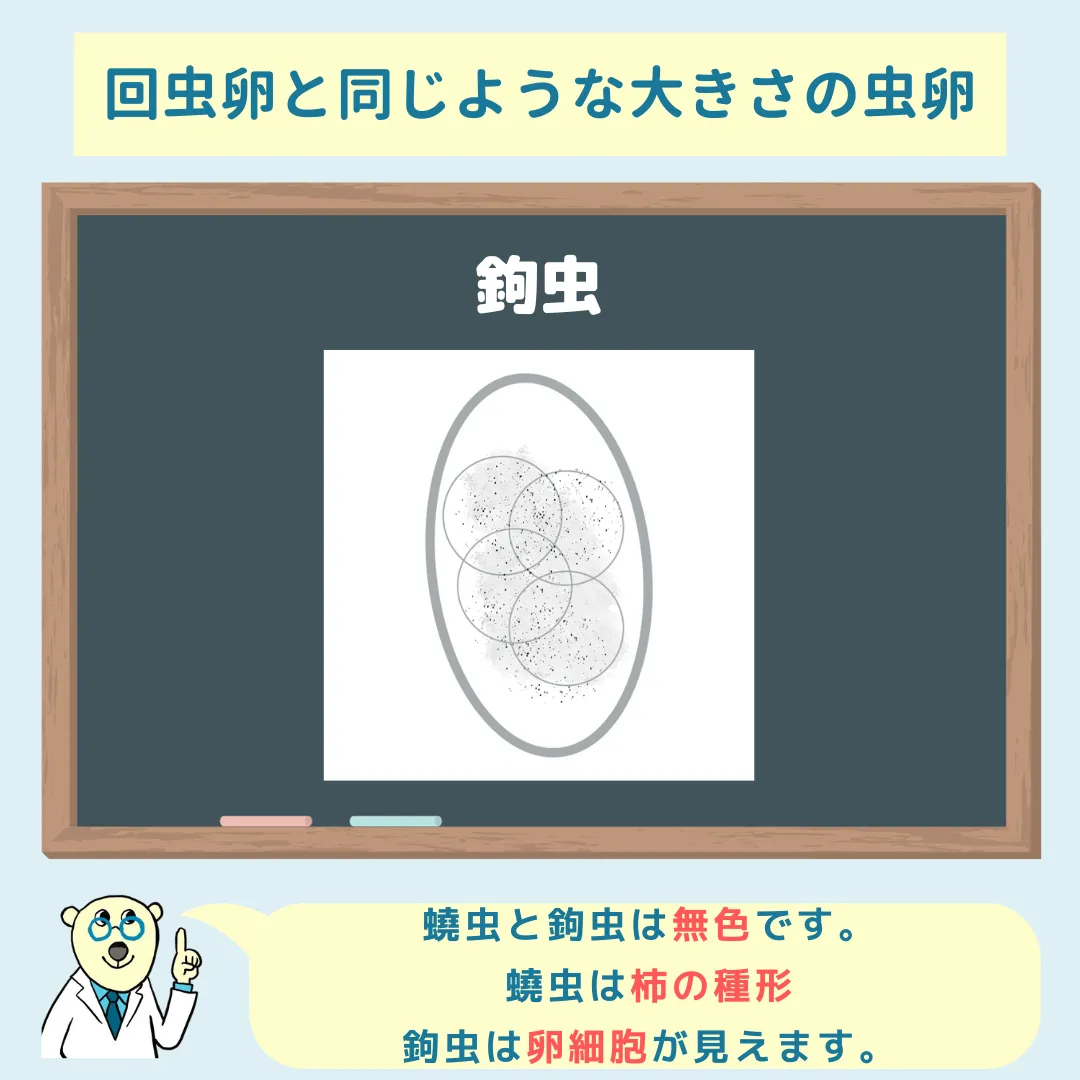 国家試験直前対策まとめ①ー臨床検査総論ー｜検査技術ゼミナール