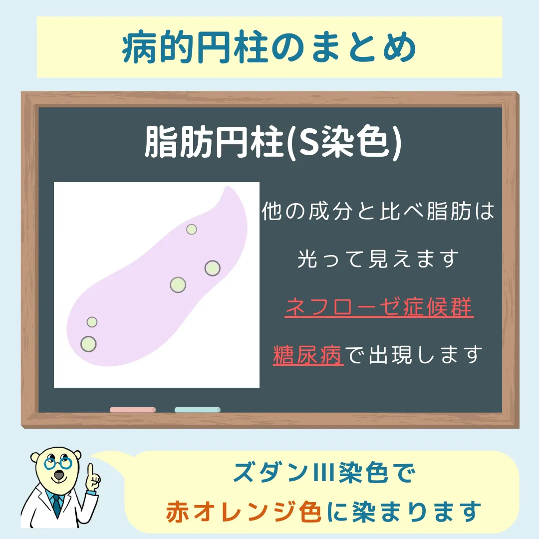 【新品同様】どうぶつ病院臨床検査 : 検査の選び方と結果のよみ方 国家試験直前対策まとめ①ー臨床検査総論ー｜検査技術ゼミナール