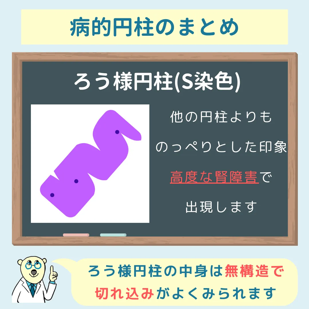 【新品同様】どうぶつ病院臨床検査 : 検査の選び方と結果のよみ方 どうぶつ病院臨床検査 : 検査の選び方と結果のよみ方