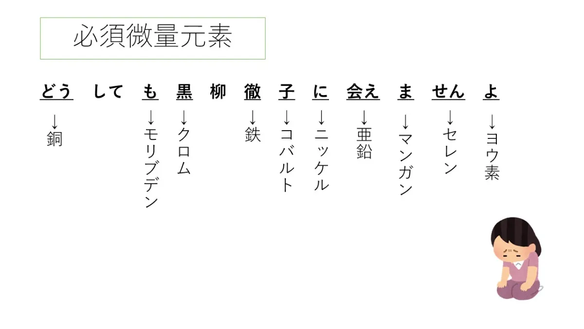最新臨床検査学講座 医動物学 第2版/医歯薬出版株式会社