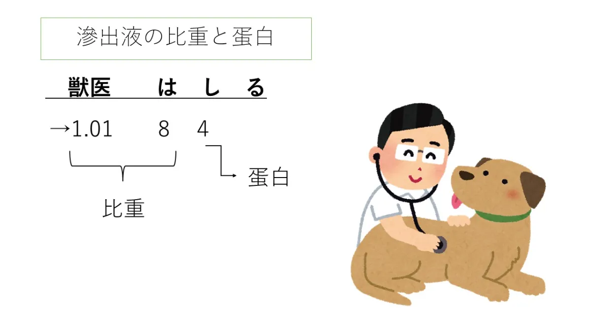 国家試験直前対策まとめ①ー臨床検査総論ー｜検査技術ゼミナール