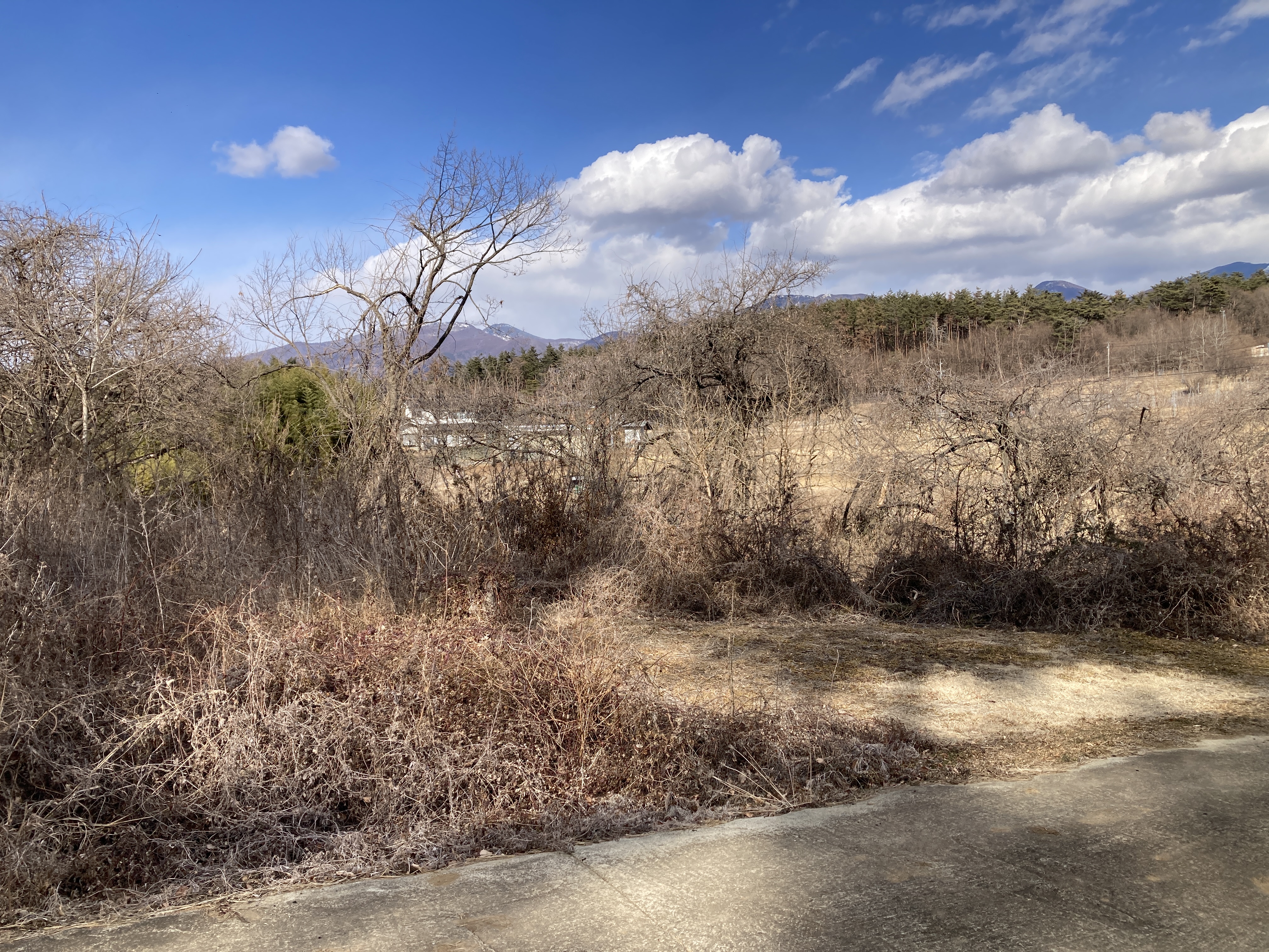 小諸市(長野県)土地 4