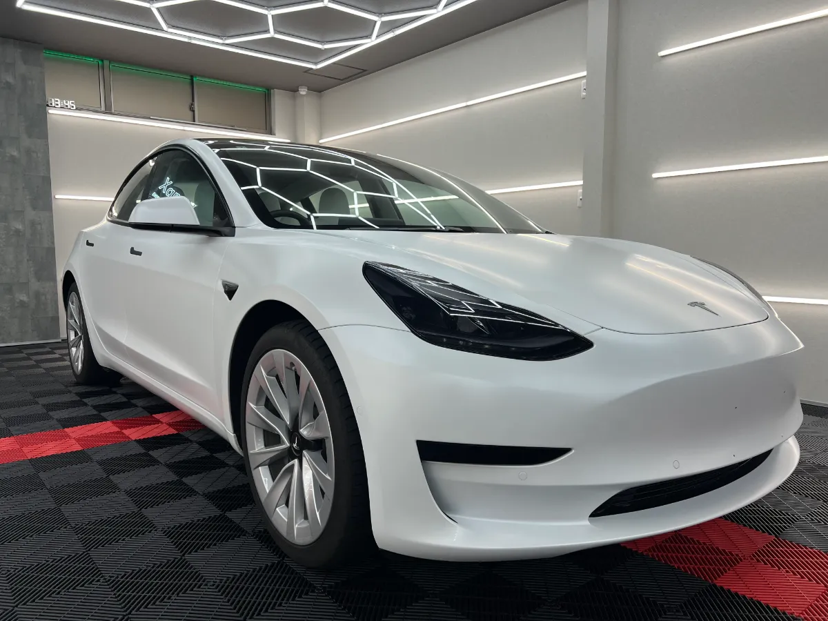 ✨テスラ Tesla 非売品 シェラカップ✨ Tesla Model3｜PPFフルボディ（ステルス） | 岡山のカー