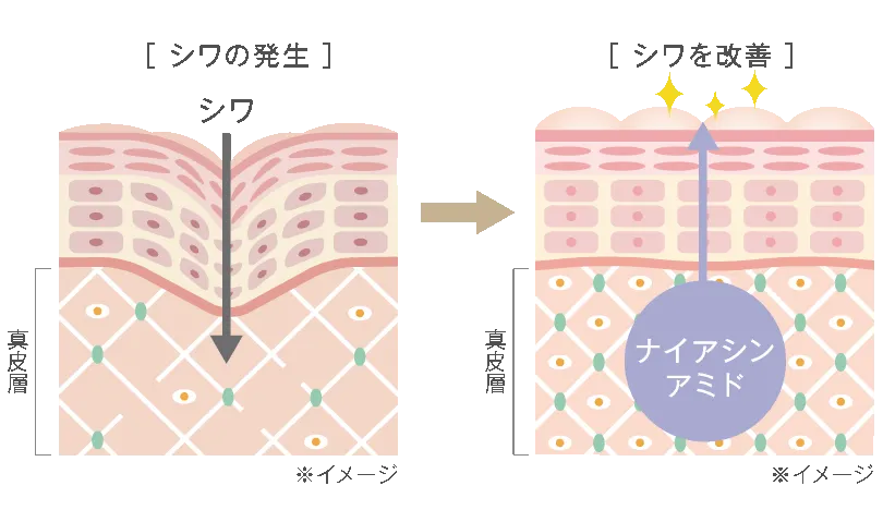 株式会社ミラビス｜ルリーク ムービング リンクルケア クリーム