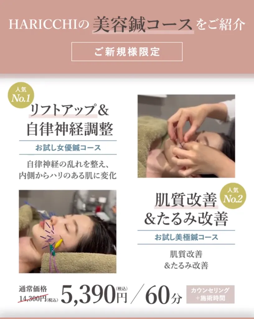 今日の治療方針 Amazon.co.jp: 【2台セット】鍼電極低周波治療器 PULSMA8s