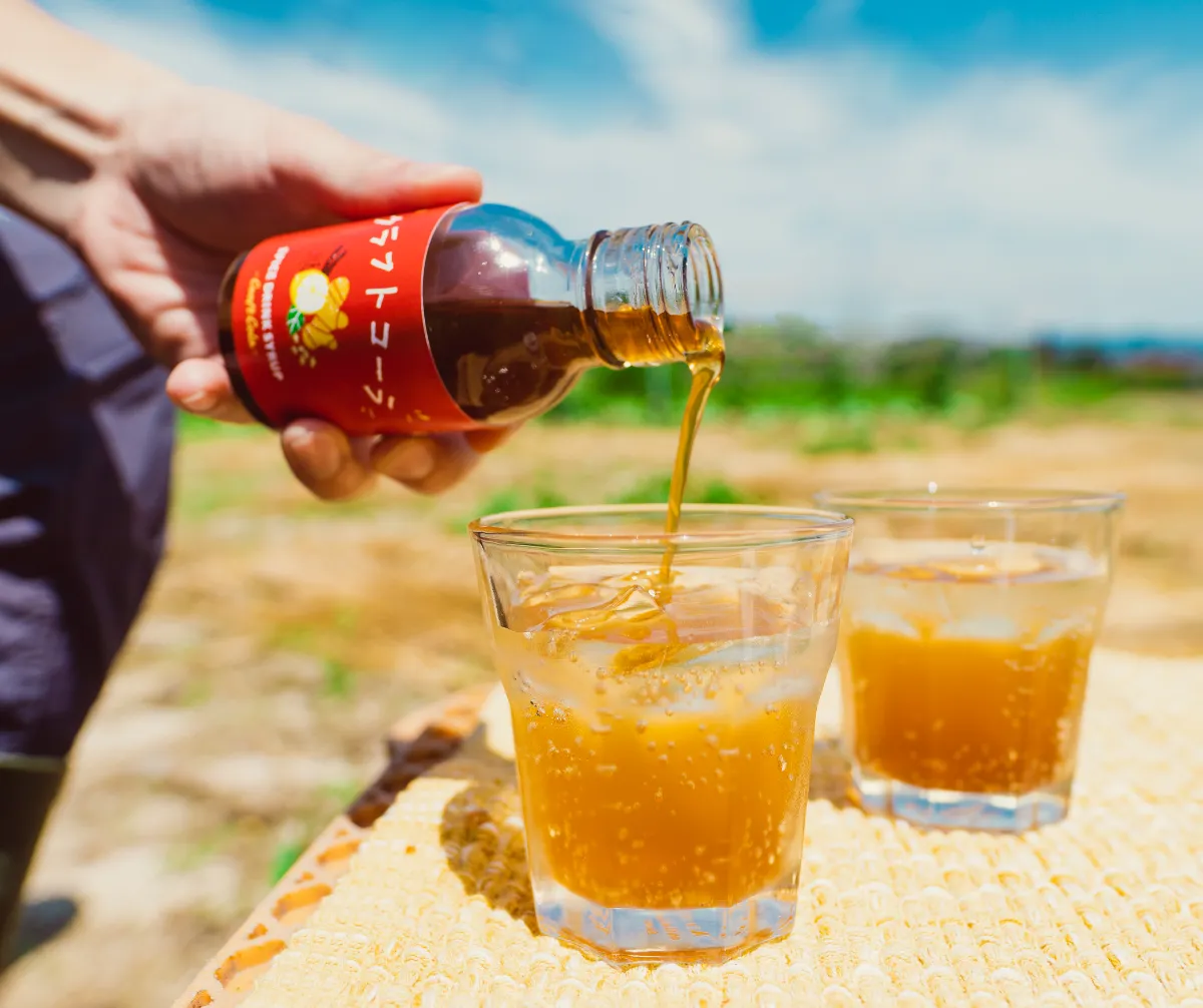 くまコーラ 2本セット ヒロ・コーラ クラフトコーラ原液シロップ Hero Cola Craft Cola Syrup