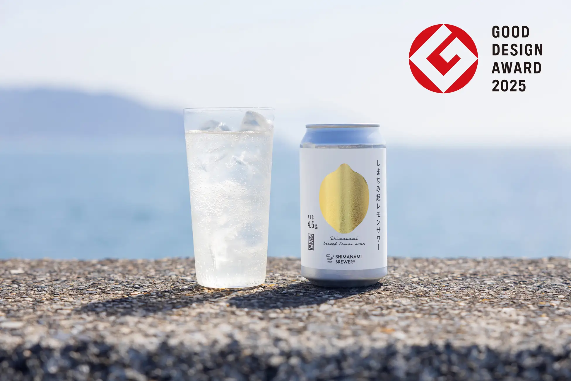 済州島の究極のシワとり　限定残り3箱 濃厚な甘みが特徴の愛媛西宇和産せとかを産地直送【お試し用3kg】