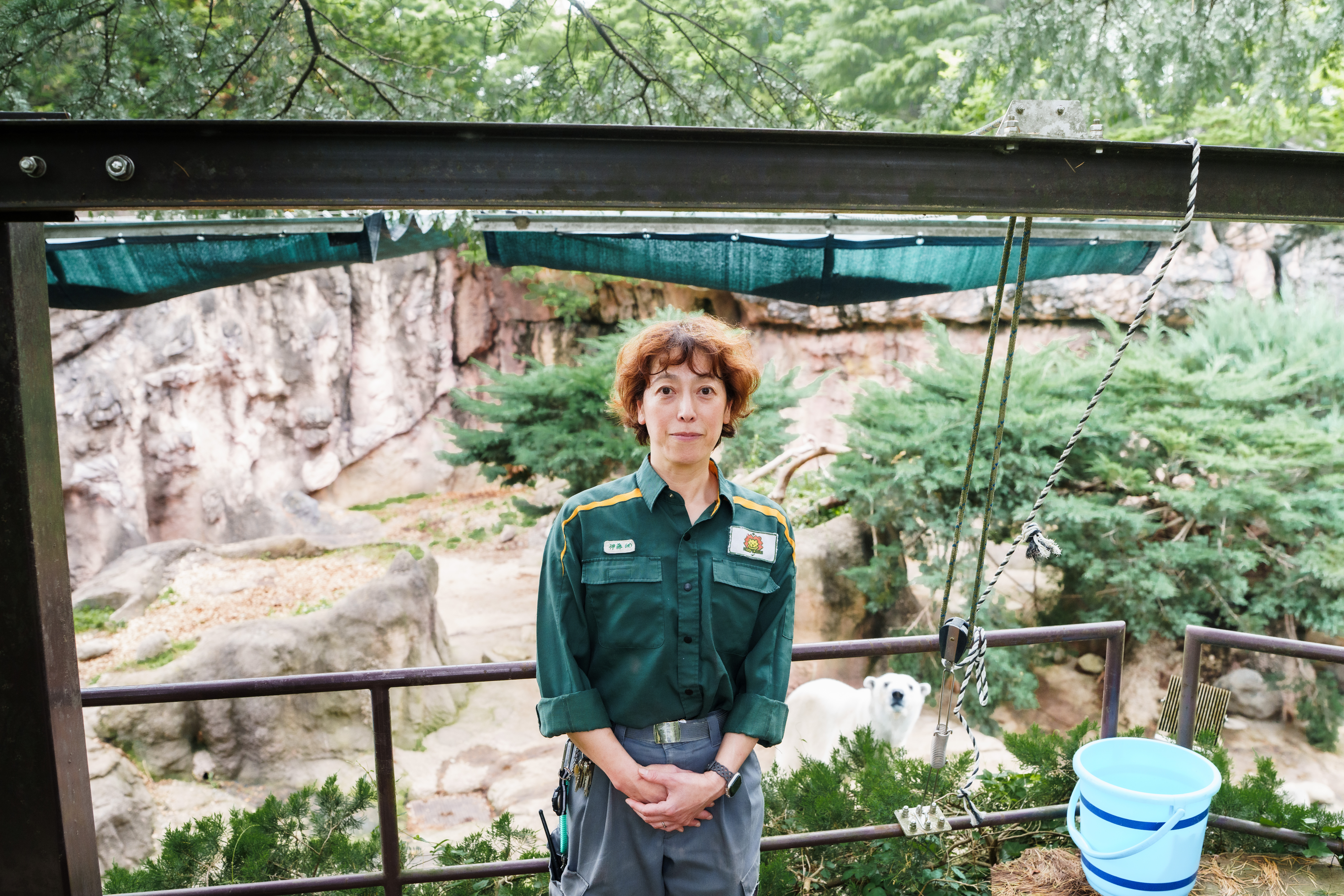 ✨ズーラシア新商品！ホッキョクグマ6種セット✨ ライ イッちゃん よこはま動物園 ズーラシア｜Polar bear