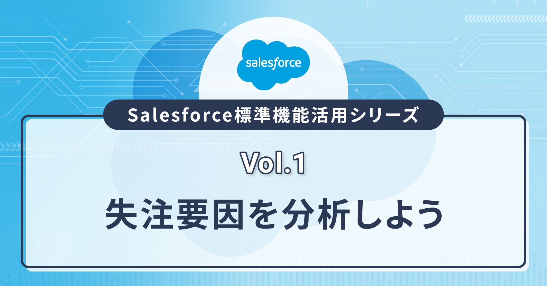 Salesforce標準機能活用シリーズ（Vol.1）／失注要因を分析しよう ...