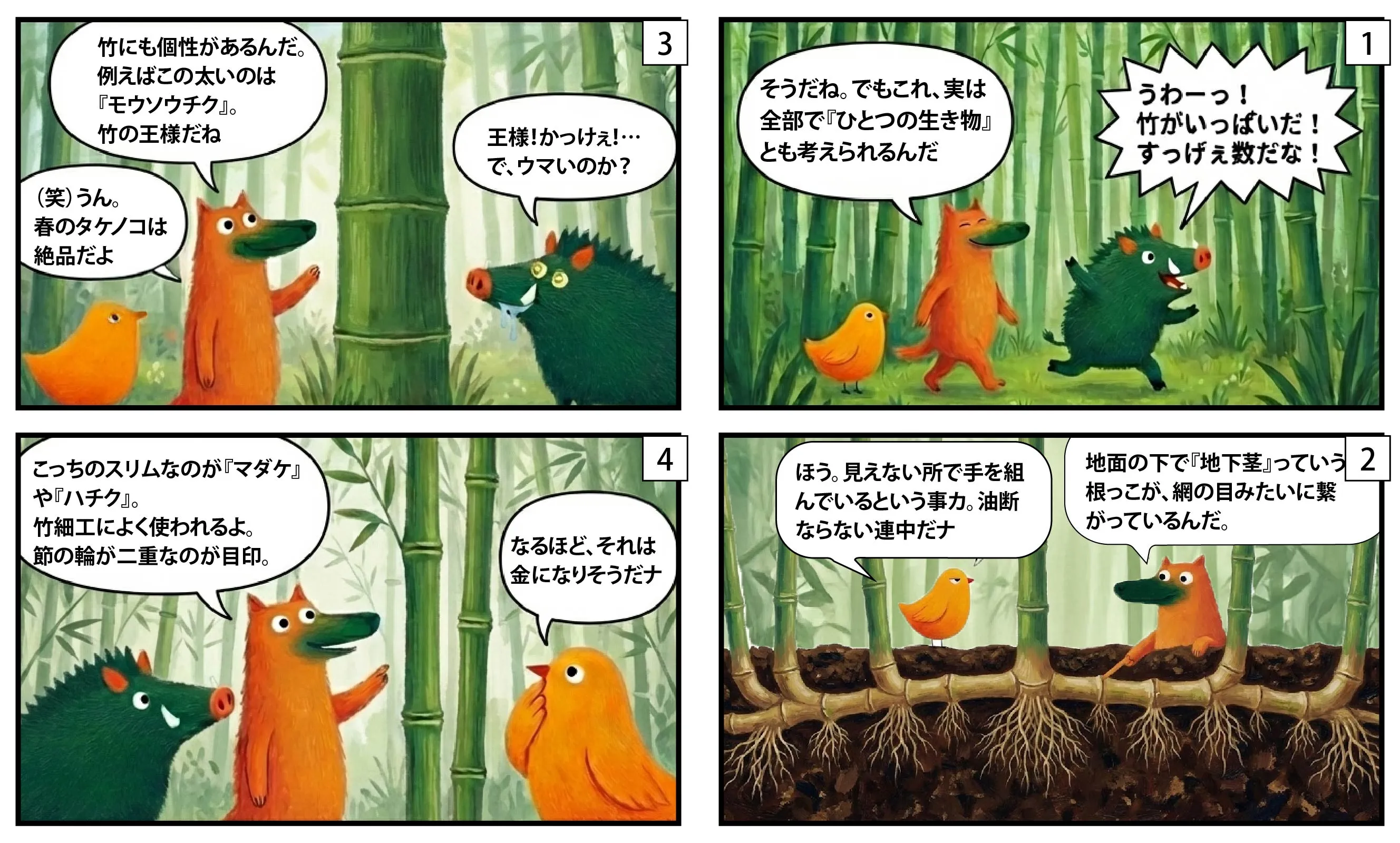 孟宗竹地下茎　100本 竹林のひみつ｜地下茎でつながる巨大生命体と、“竹害”の仕組み