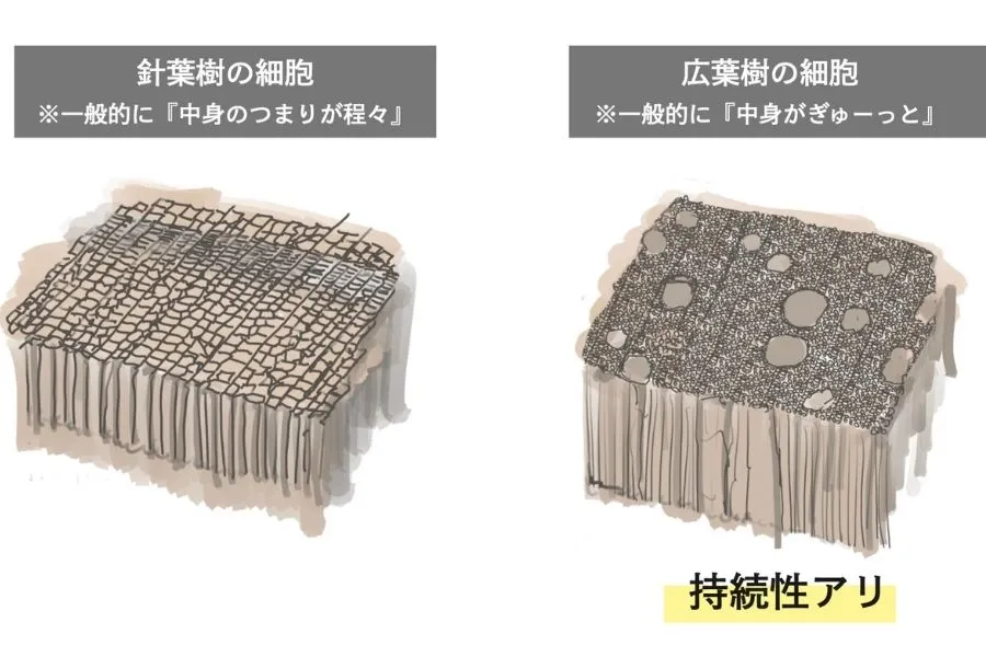 薪の木の選び方｜適した木とNG木、よく見る樹種（ナラ・栗・マツ等）の