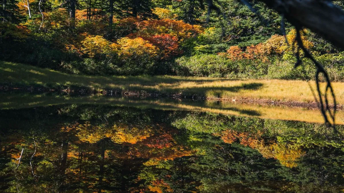 秋のロードトリップ 大雪山・日高山脈 | Moving Inn