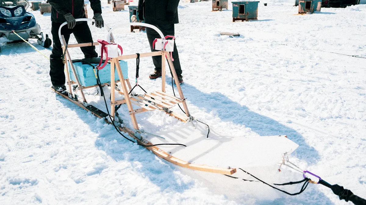 Dog sled [Mushing Works] | Moving Inn