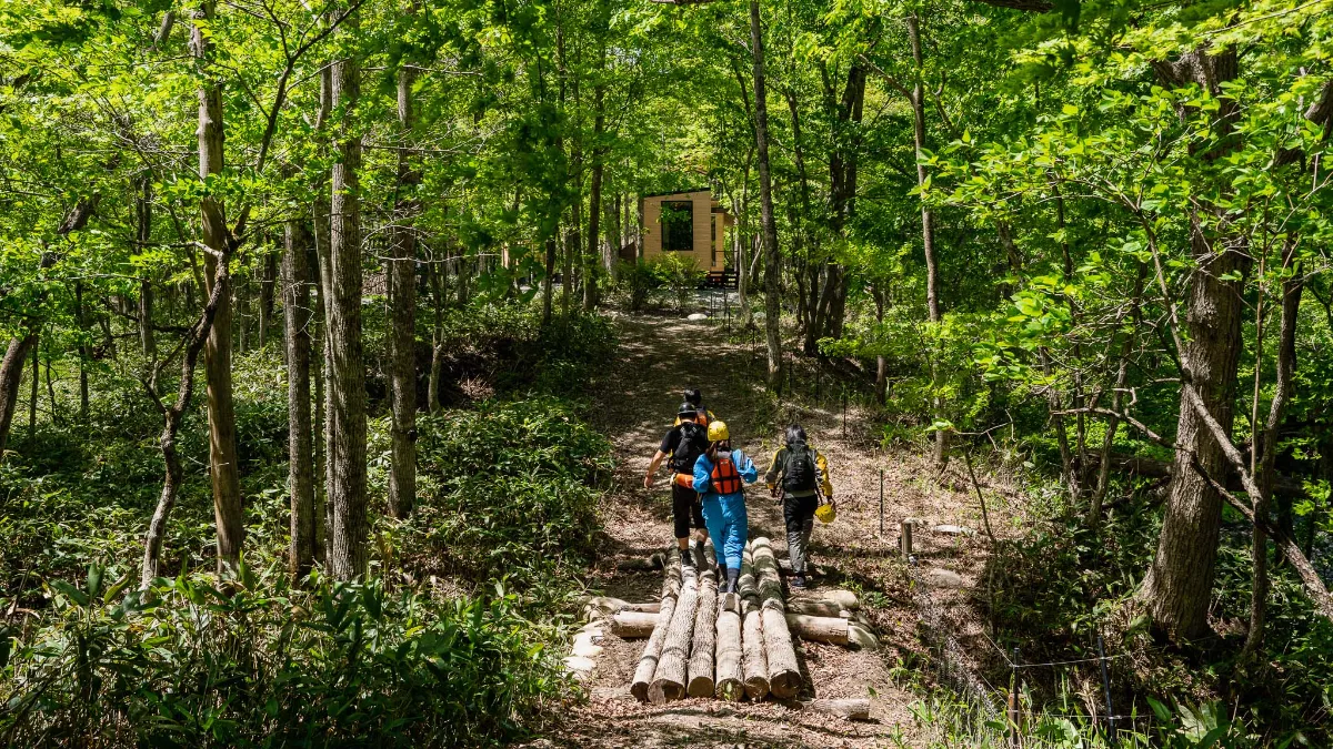 時代 くりぬき盆 遊鳥雲松紋 在銘 日本北部的繩紋史前