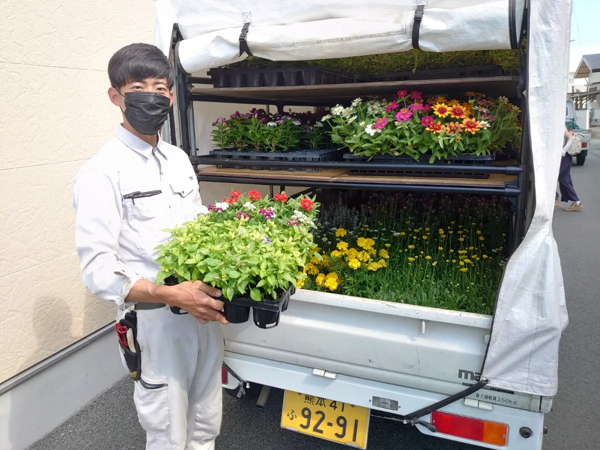Kdsの花壇に Kds菊池自動車学校