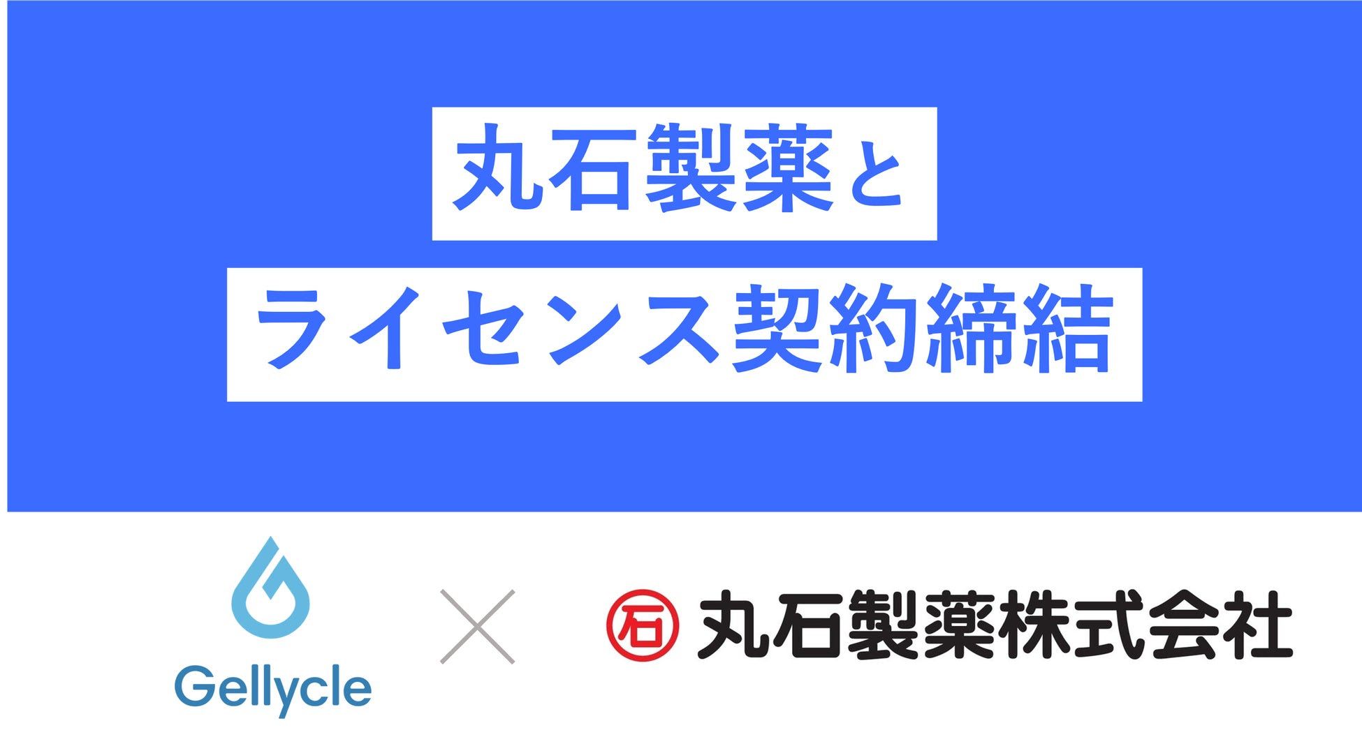 龍脈の精髄 ヘマタイト煙水晶 大地と響く浄化と守護 売上一部保護猫