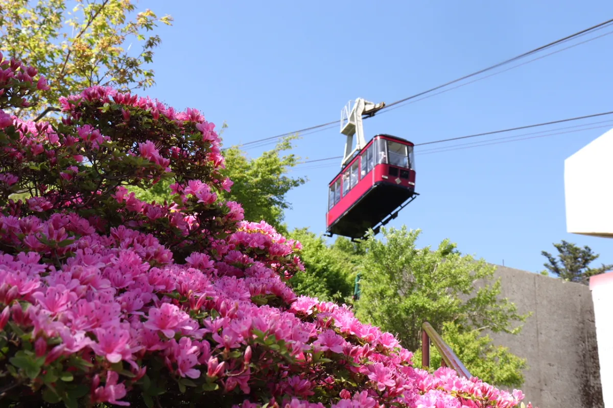 Find spring UNZEN-雲仙で特別な春を見つける- Find spring UNZEN-雲仙で特別な春を見つける-