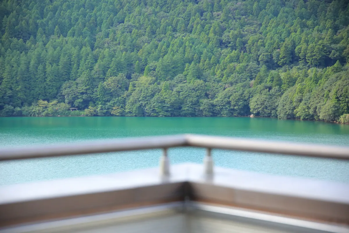 雲仙 SP Dom i Ogród - L66 SKUP SPRZEDAŻ WYCENA