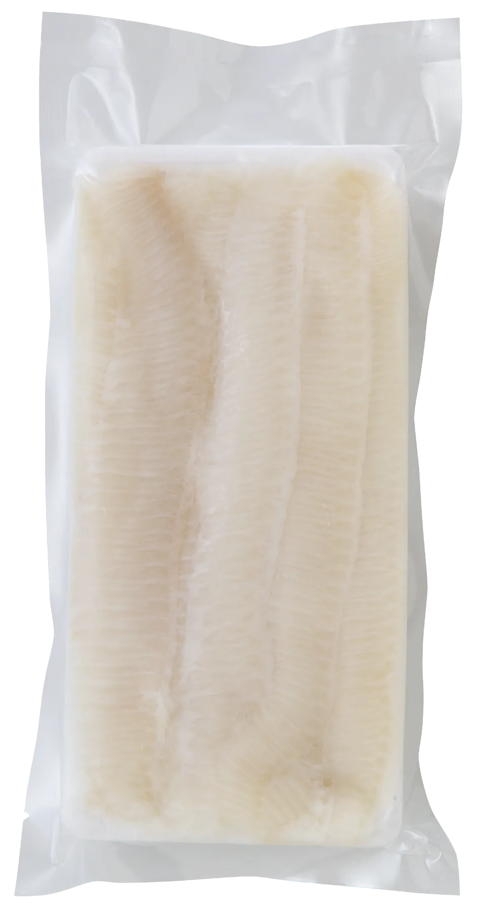 「 魚介料理事典 全6巻 」 （株） トーレン 魚介料理事典 全6巻 」 （株） トーレン 魚介料理事典 全6巻