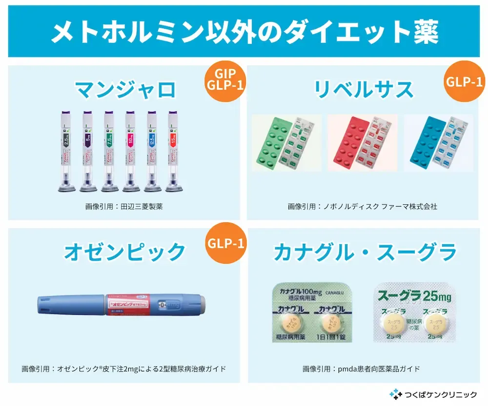 メトホルミン 痩せ た ブログ