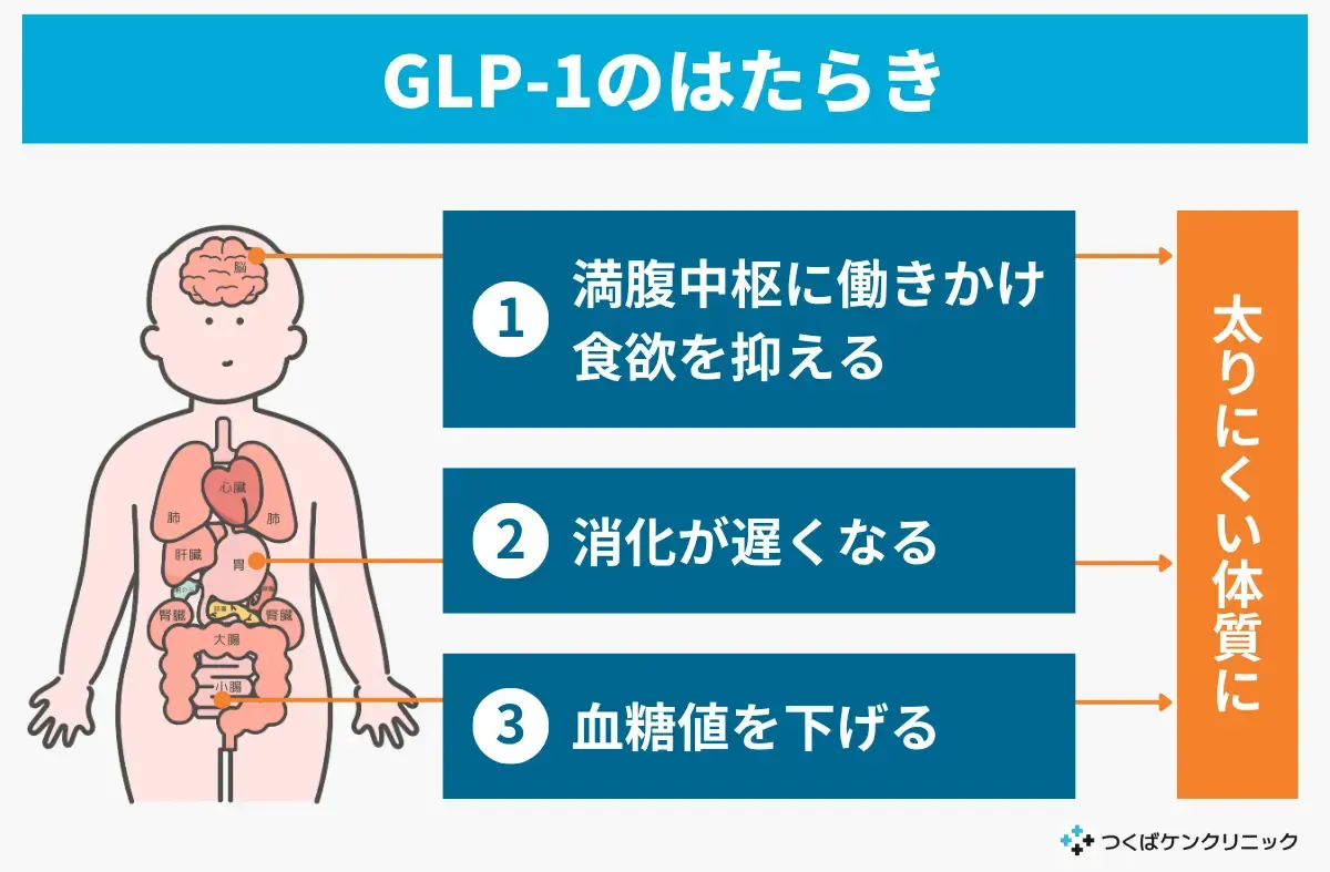glp 1 なぜ 痩せる GLP-1ダイエットで痩せない人の特徴は？成功させるポイントも解説