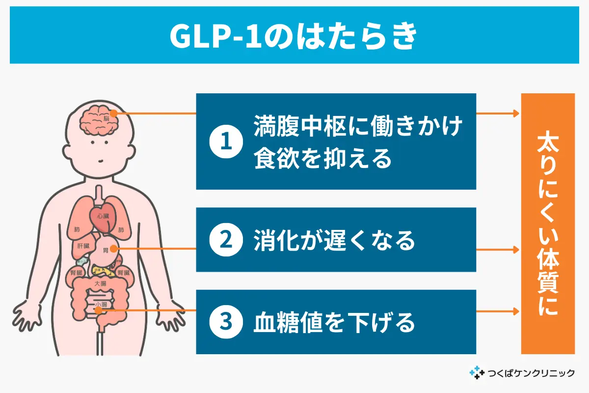 glp-1 効果 GLP-1ダイエット後にリバウンドするのはなぜ？防ぐ方法と注意点を解説
