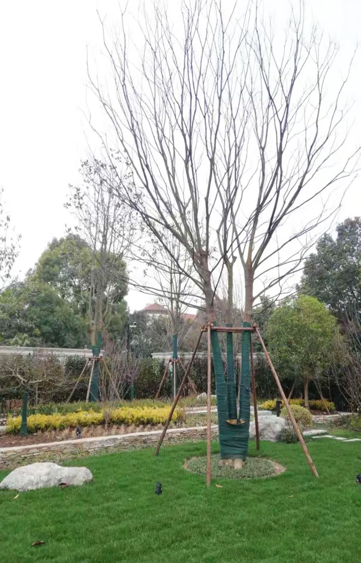 上海市 檀宮の庭 ｜キタバ・ランドスケープ