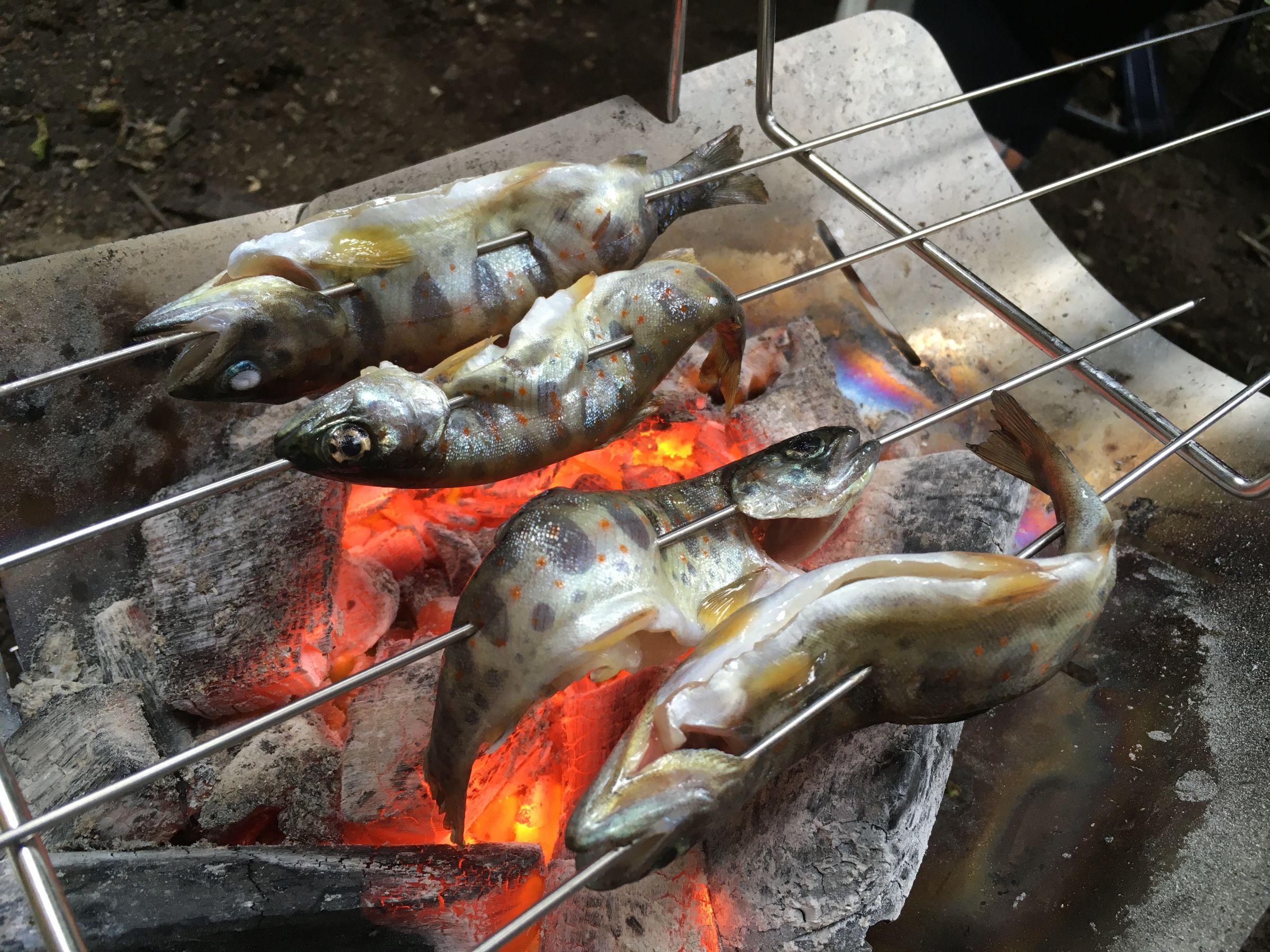 アマゴ塩焼き