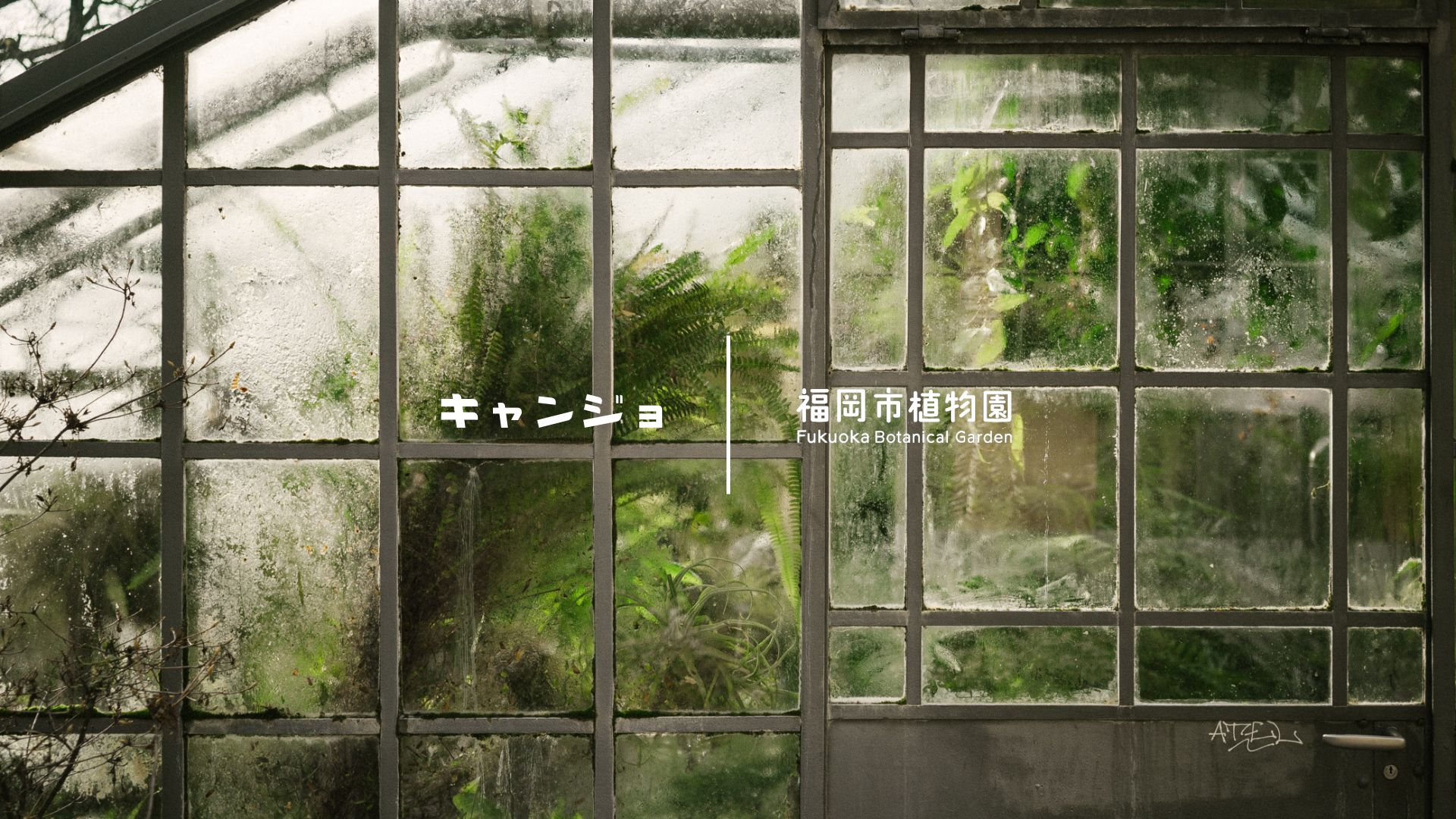 福岡市植物園と「キャンプ女子」がコラボ！植物園で「たき火」イベントを2/11（祝日）に開催します。