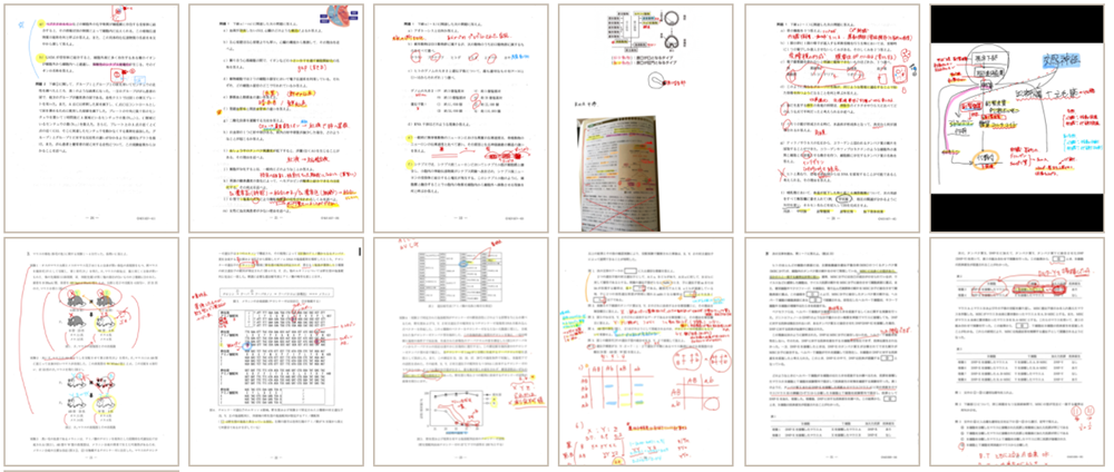 合格体験記2022 ハンガリー国立医学部、4大学全てに合格！（Mさん）