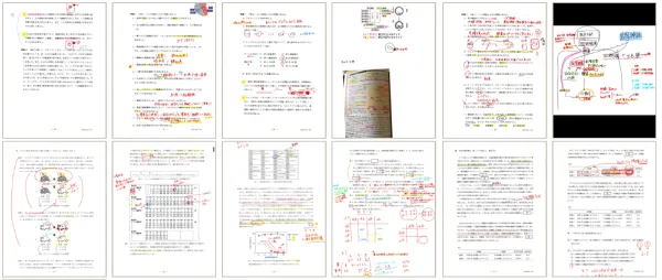 ハンガリー医学部 2018 入試問題 過去問 s-1000x424_v-fs_webp_723ca9ab-