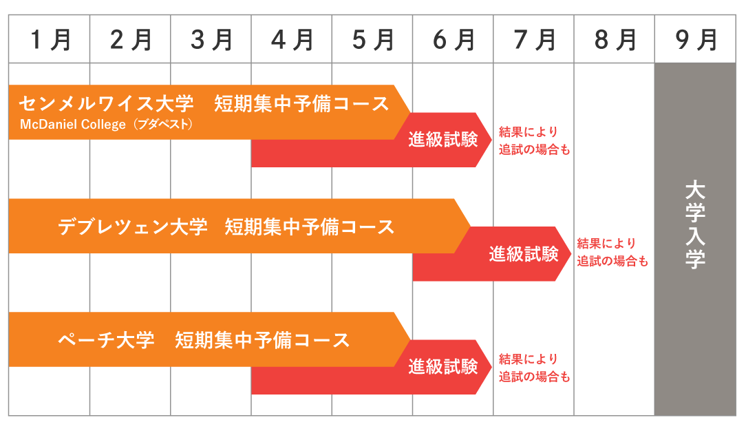 ハンガリー医学部 2020 入試問題 過去問 ハンガリー医学部 2020入試