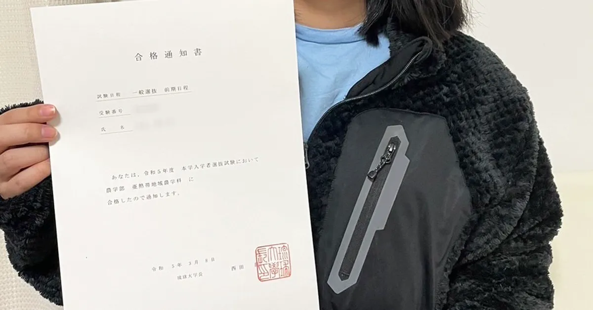 大手塾　自宅学習プリント　23部 大手塾 自宅学習プリント 23部 本
