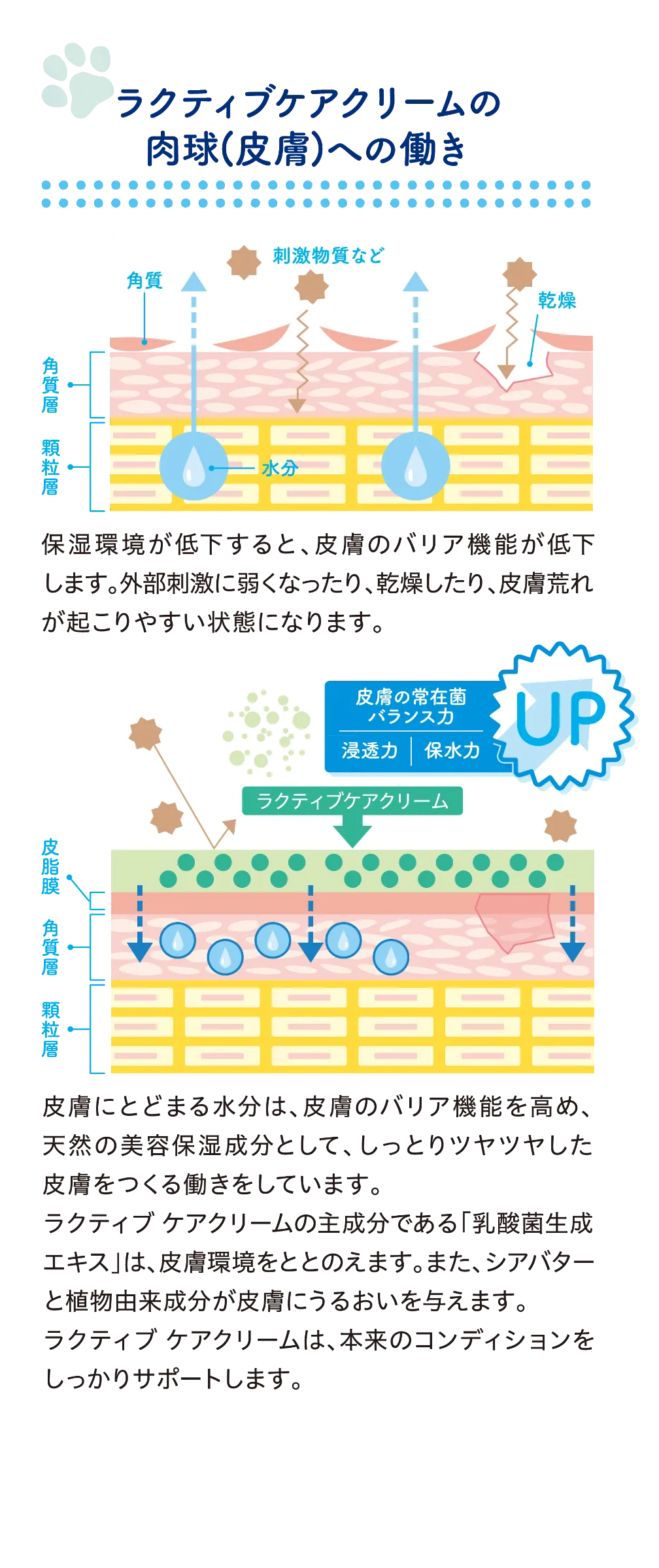ラクトクリーム imgrc0174877610.jpg