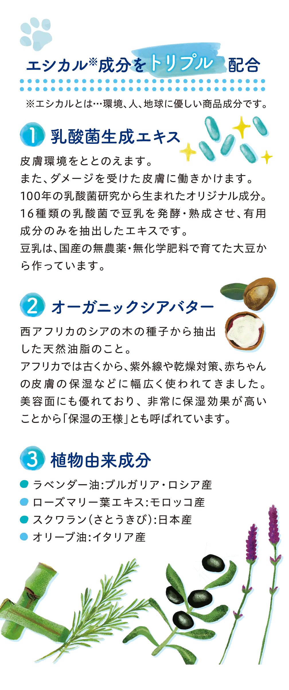 コスモスラクト