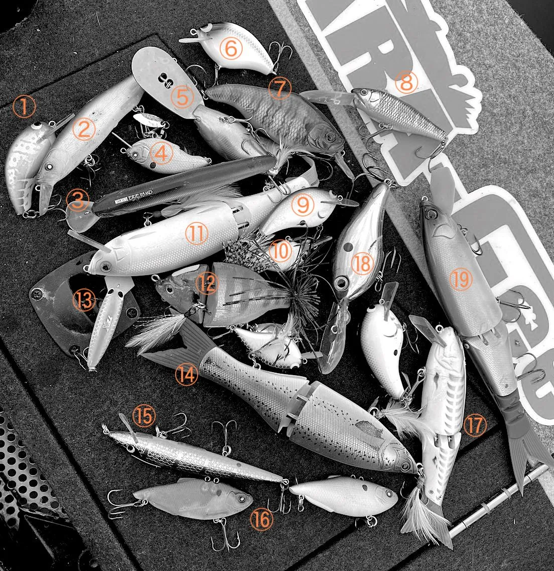 横井さんの「夕暮れハイデッキ」2023年12月17日 :初冬の亀山シャロー