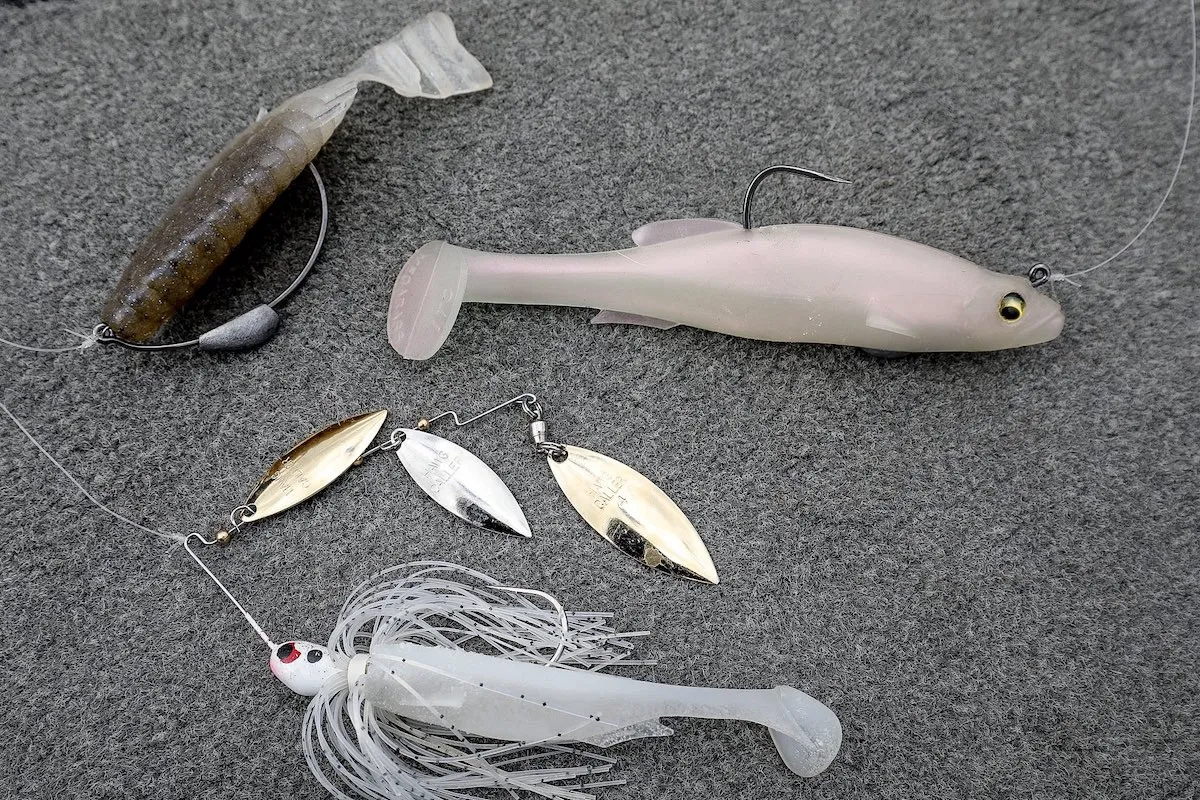 s-1200x800_v-fms_webp_29d3d4fb