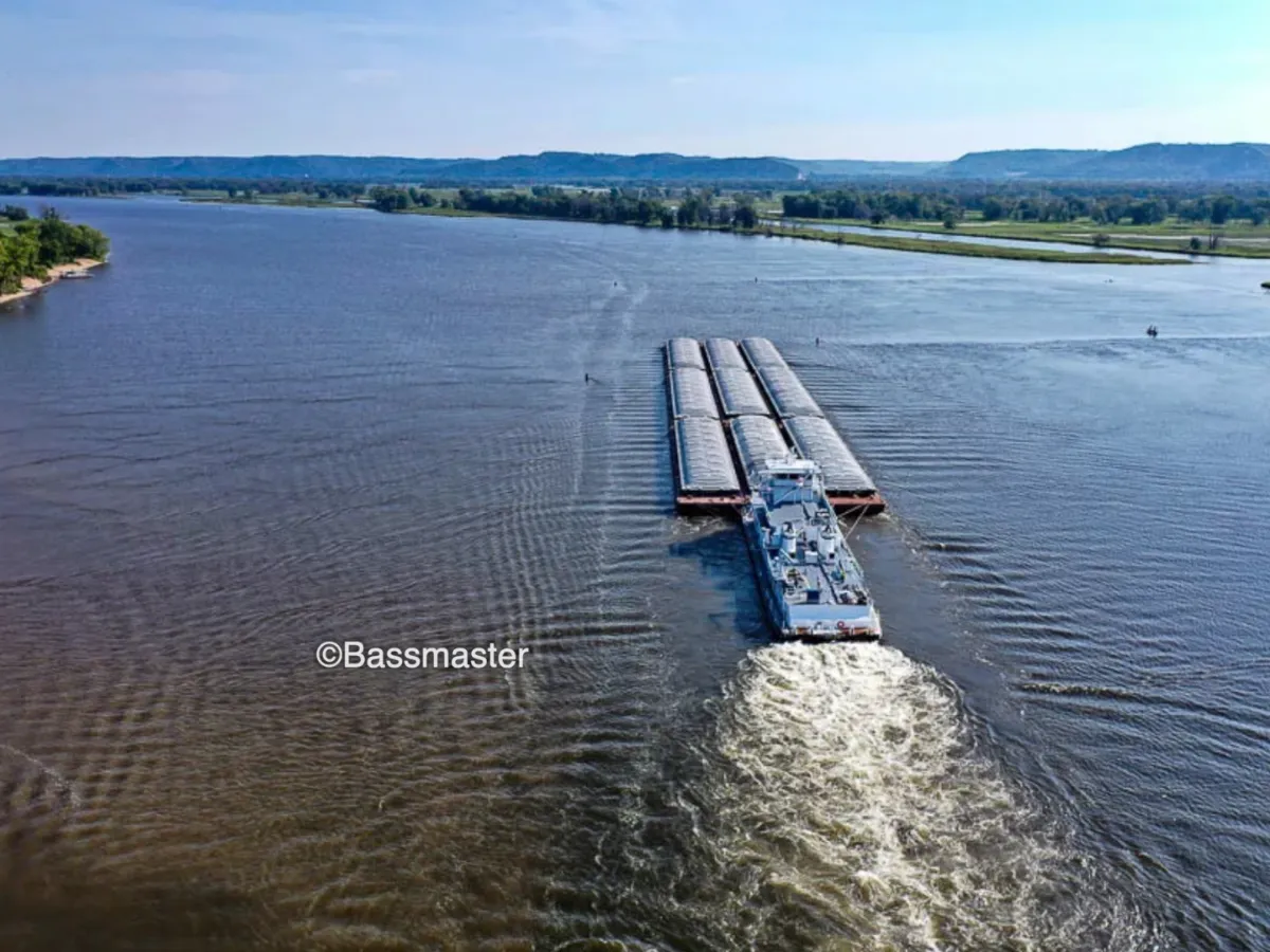 バスフィッシング上級者への道 : バスプロに教わるフィッシングテクニック バスフィッシング上級者への道 : バスプロに教わるフィッシング