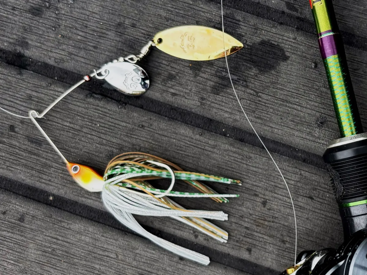 田辺哲男「雨天バス決行」：今回は長いよ（笑）。津久井湖ロコに教わっ