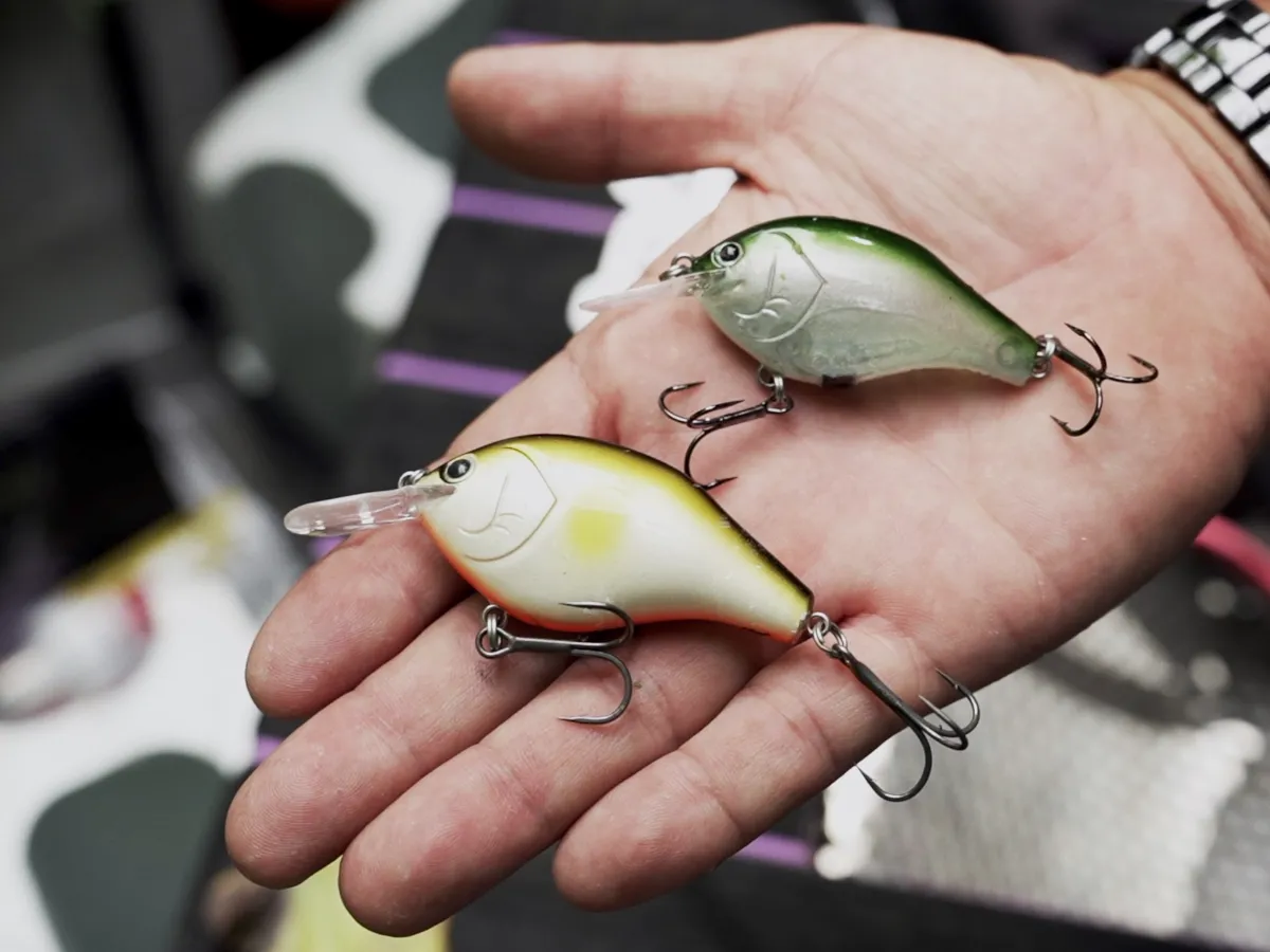 田辺哲男「雨天バス決行」：完成間近の“コブリ”（仮）