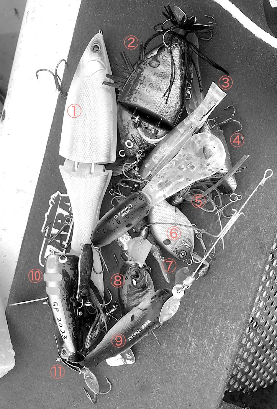 s-939x1387_v-fms_webp_240781f4