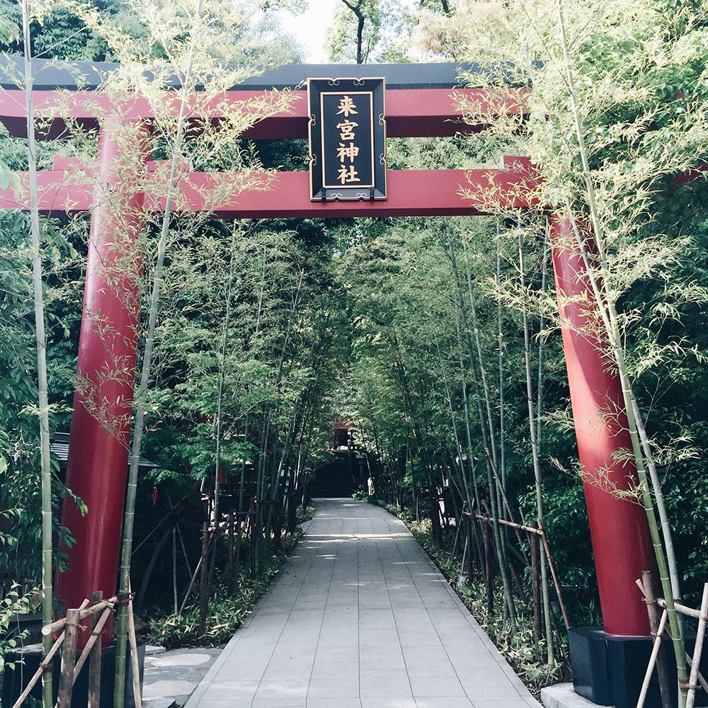 來宮神社の鳥居