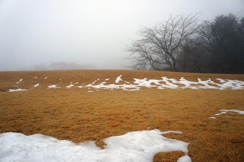 彫刻の森美術館の雪が積もった芝生