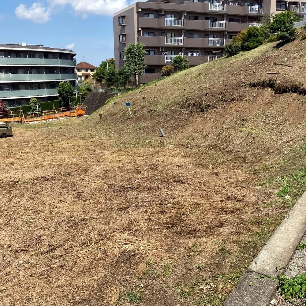 建設予定地の草刈り・ツタ取り後 、すっきりして爽快な景色になりました