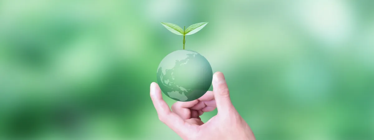 緑の地球と新芽