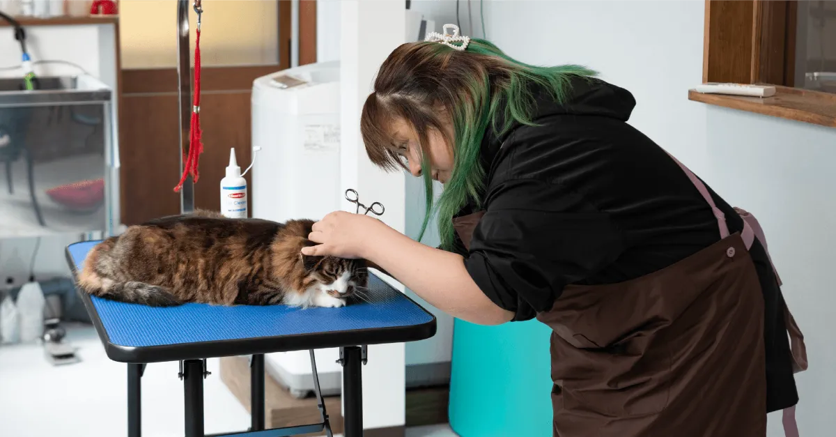 藤原紅葉さん ｜おおつちに生きる人｜岩手県大槌町に生きる人を紹介